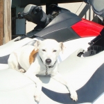 waverunners and parasailing, jet ski rentals